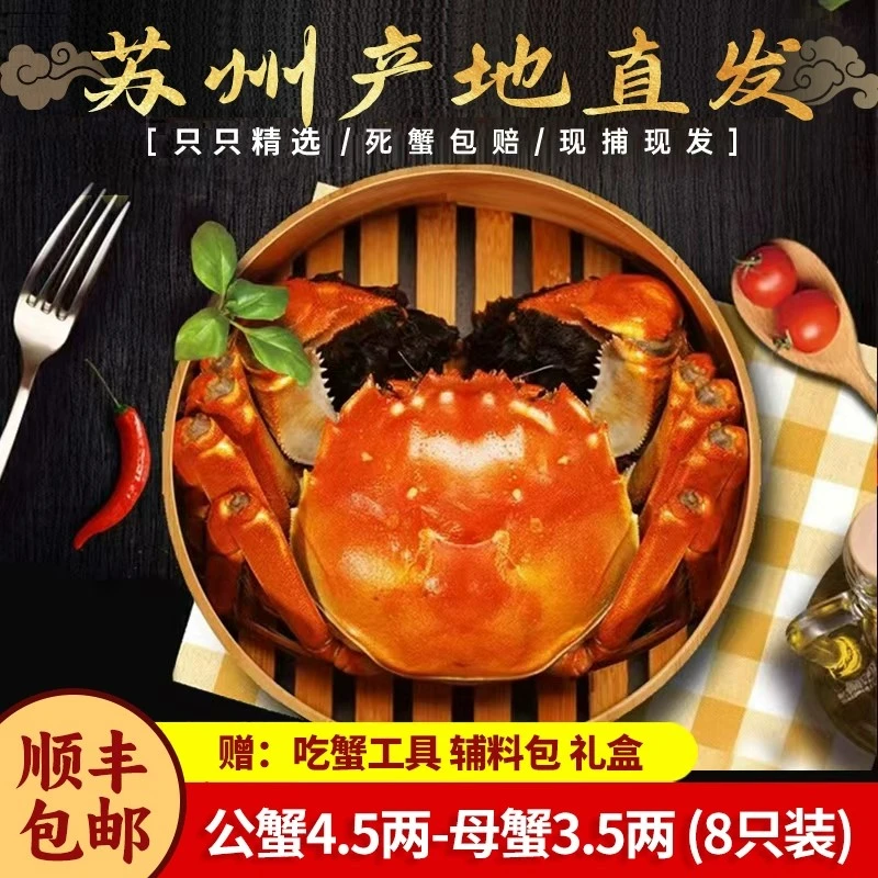 【活蟹8送2共10只】2.8-3.3两全母蟹江苏苏州精品河蟹顺丰冷链礼盒鲜活水产