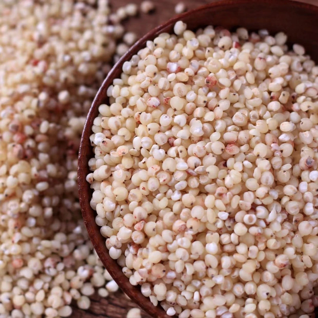 （黄土米妹苗苗）红高粱米