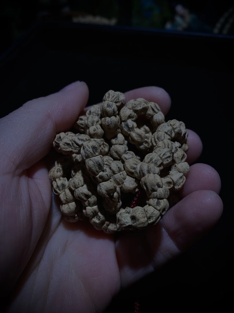 【鬼肠】斜切大肠，