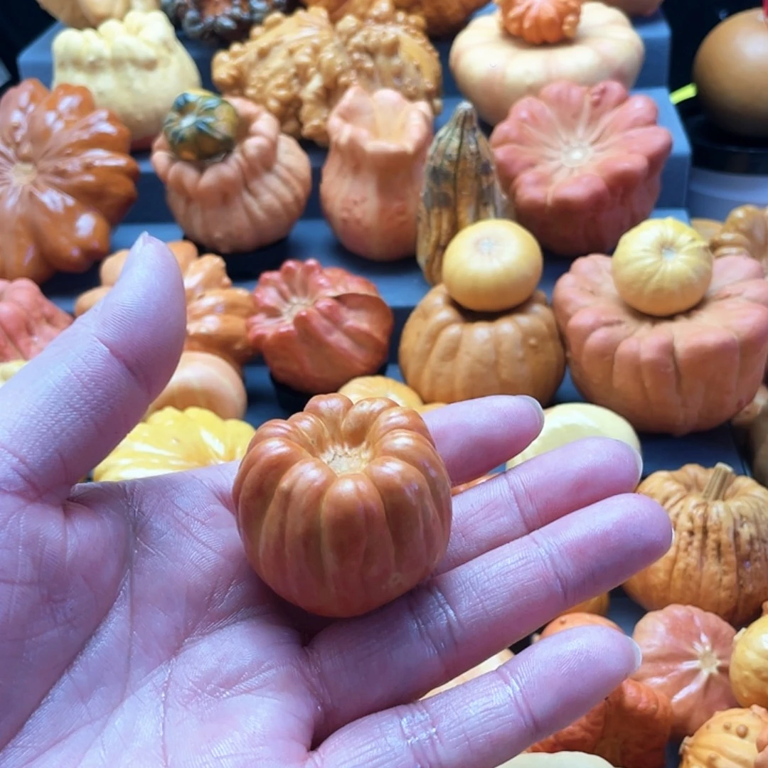 @***3墨西哥微瑕不退不换