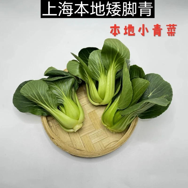 京东快递 矮脚青菜本地新鲜现摘霜冻苏州青菜露天矮脚青菜