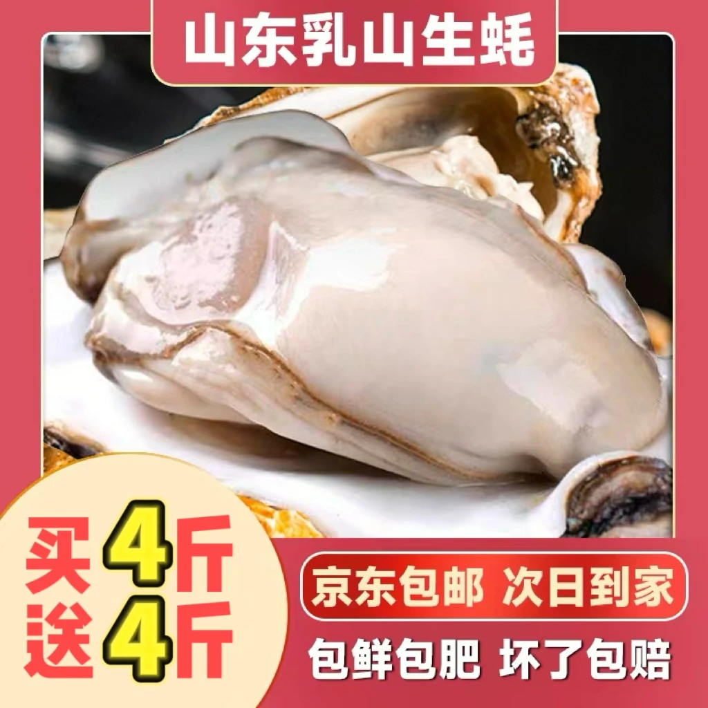 【买4斤送4斤】次日达鲜活乳山登峰7-8两帝王蚝海蛎子蒸煮烤生蚝 今天拍明天到家 （破损包赔）
