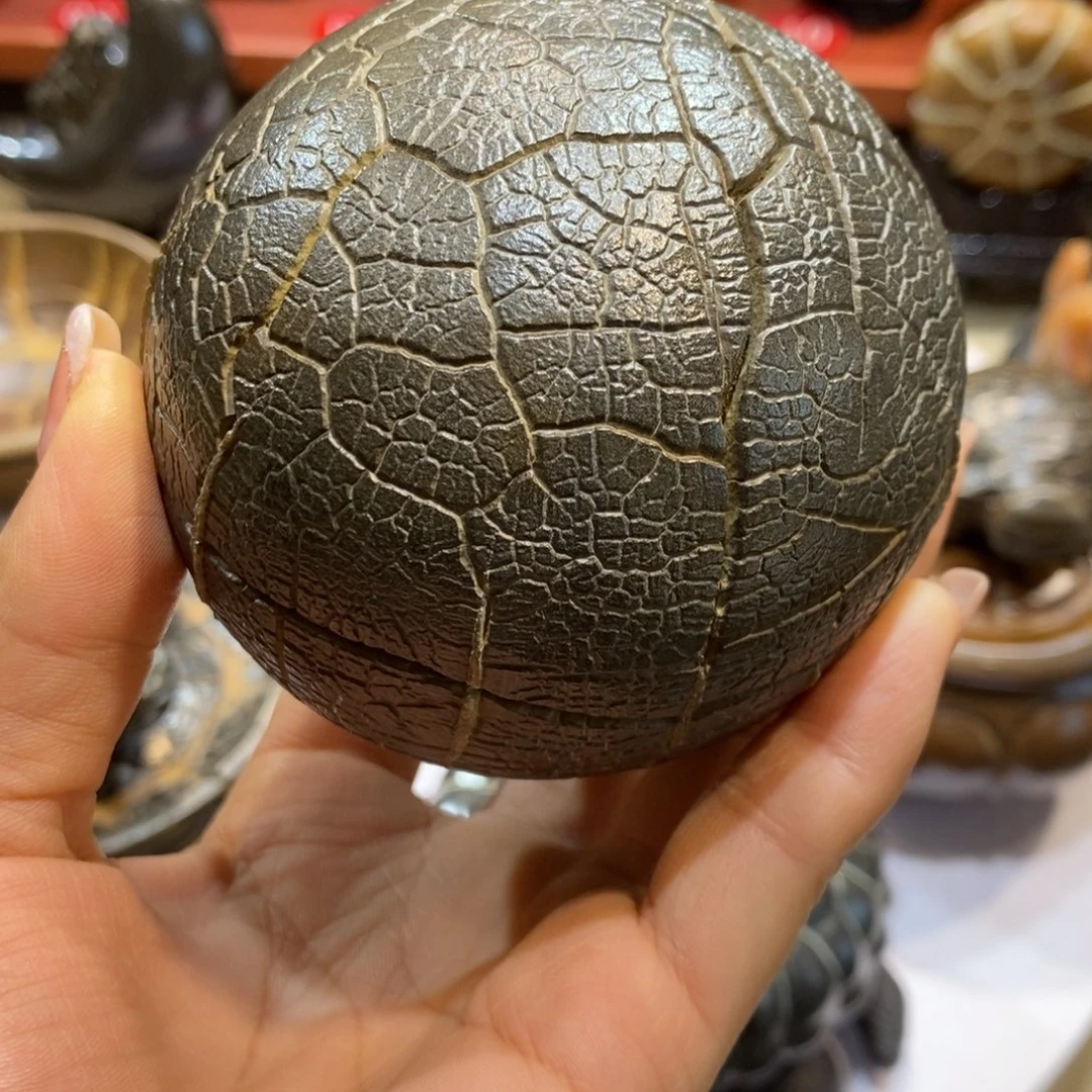 0***e龟纹石原产地直播