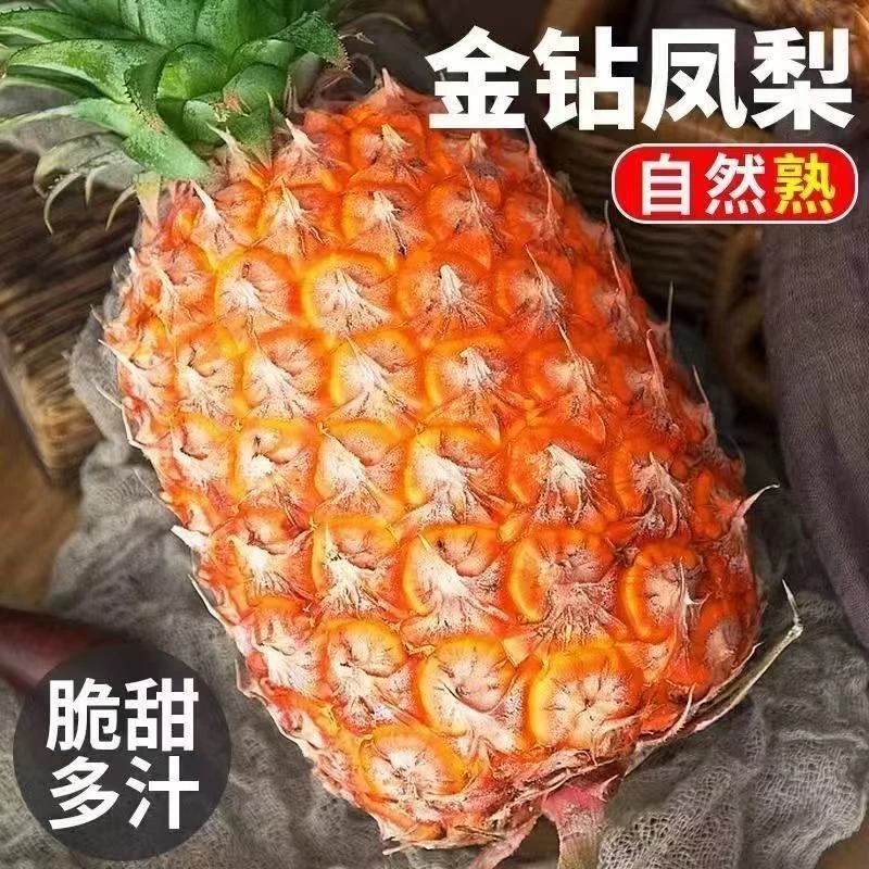金钻凤梨（香甜可口）