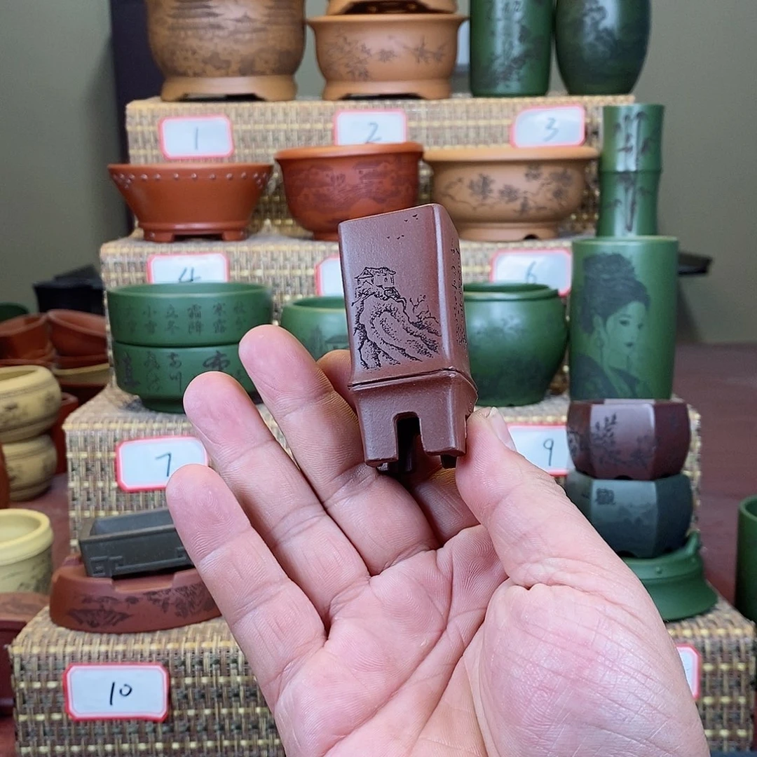 紫砂花盆我在等他