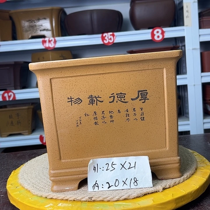 花盆紫砂蛇年大吉