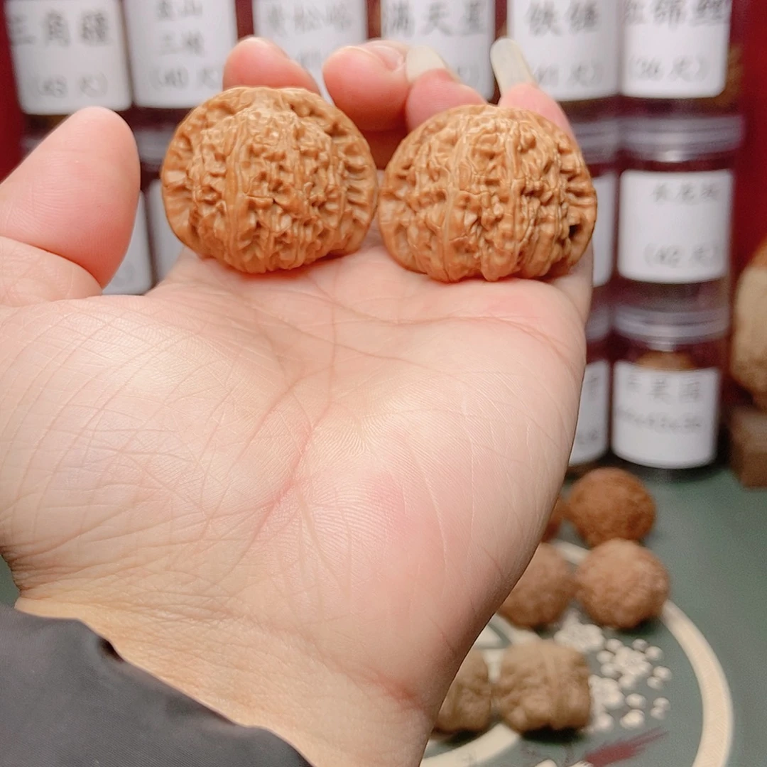 文玩核桃把件白狮子41