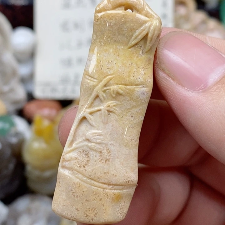 硅化珊瑚（珊瑚玉）未镶嵌颈饰