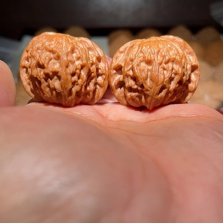 木41磨盘狮子头。