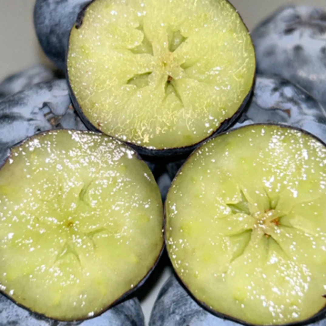 丹东头茬甜蓝莓20mm一箱 净重400-450g