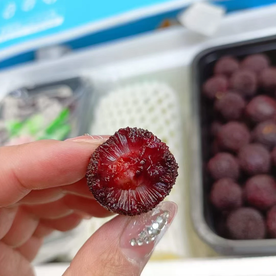 东魁杨梅(坏果包赔)