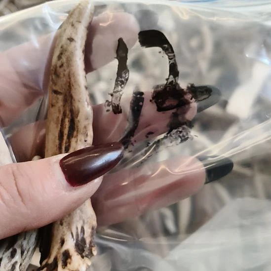 禁***区鹿角鹿角鹿角鹿角鹿角鹿角