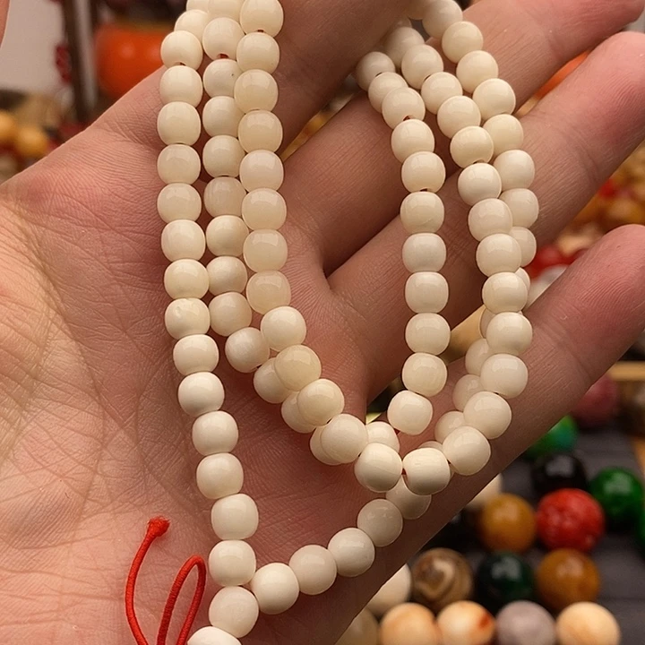 大果紫檀（缅甸花梨）