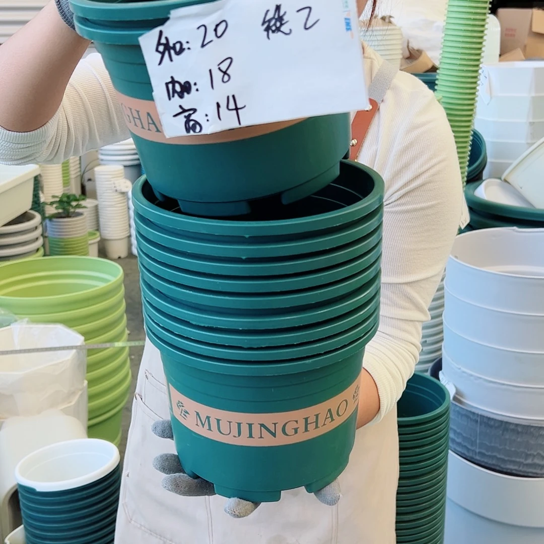 瑕疵矮胖2#墨绿色10个无托