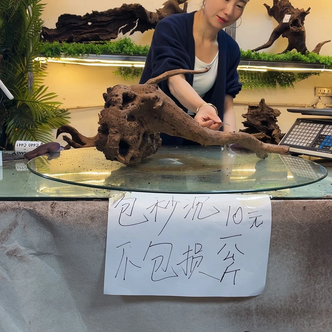 柚木玉***艺沉木鱼缸造景