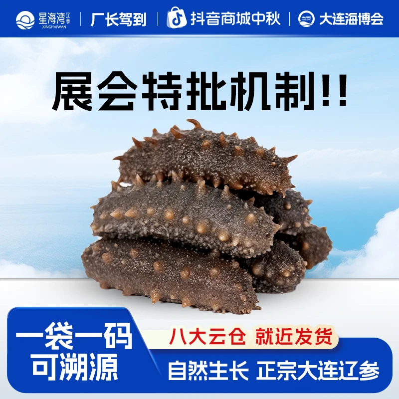 正宗大连辽参冷冻辽参展会特批机制包邮