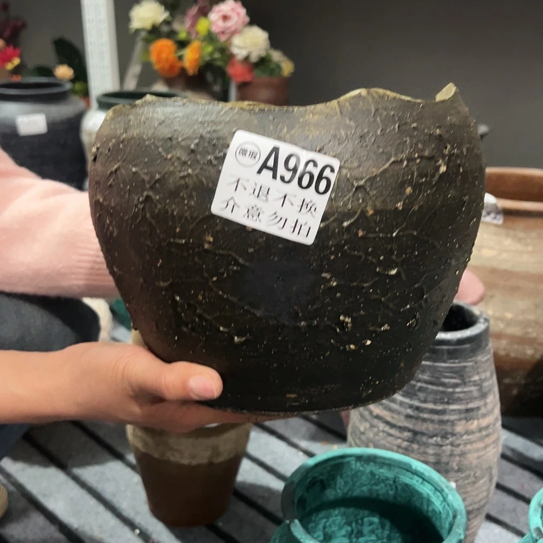 红陶瑕疵大蛋壳966