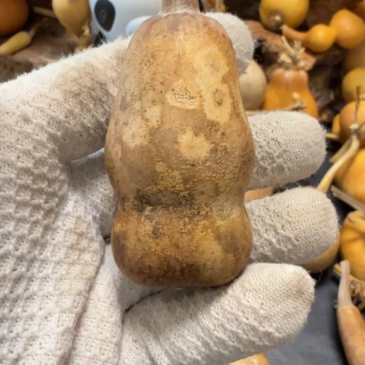 冷***天6666677777777777778