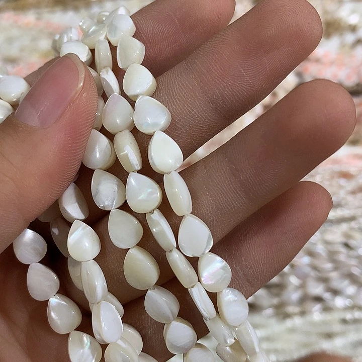 一条马蹄螺小水滴