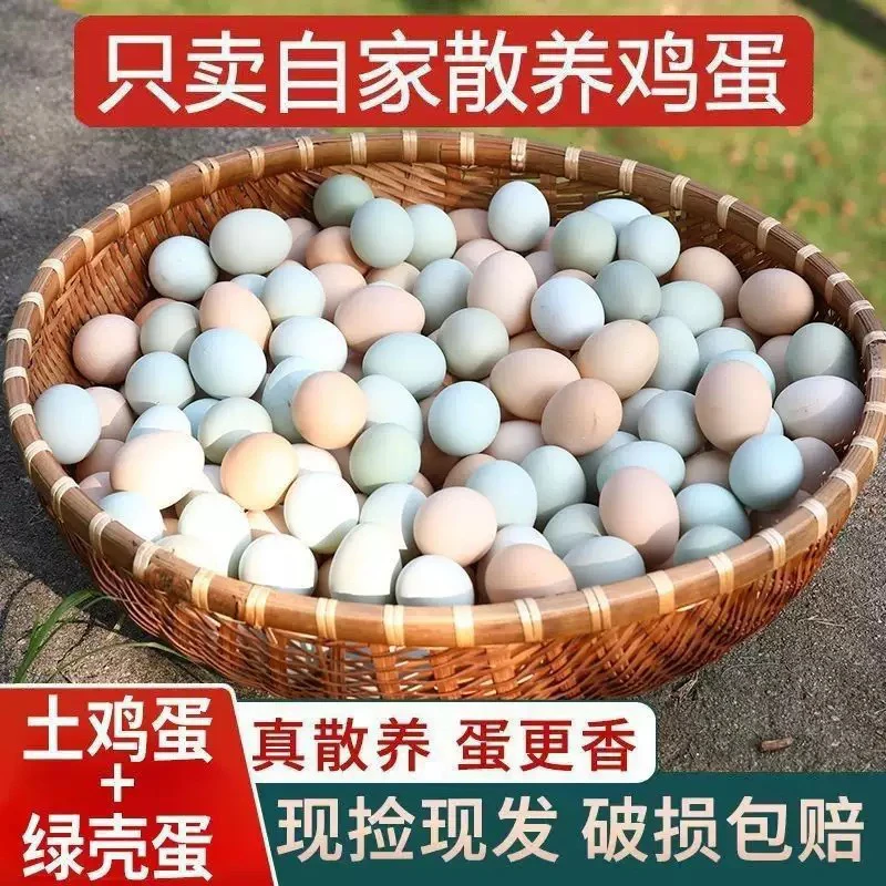 【京东快递】正宗农家散养土鸡蛋45-50克与绿壳蛋混合装新鲜营养蛋