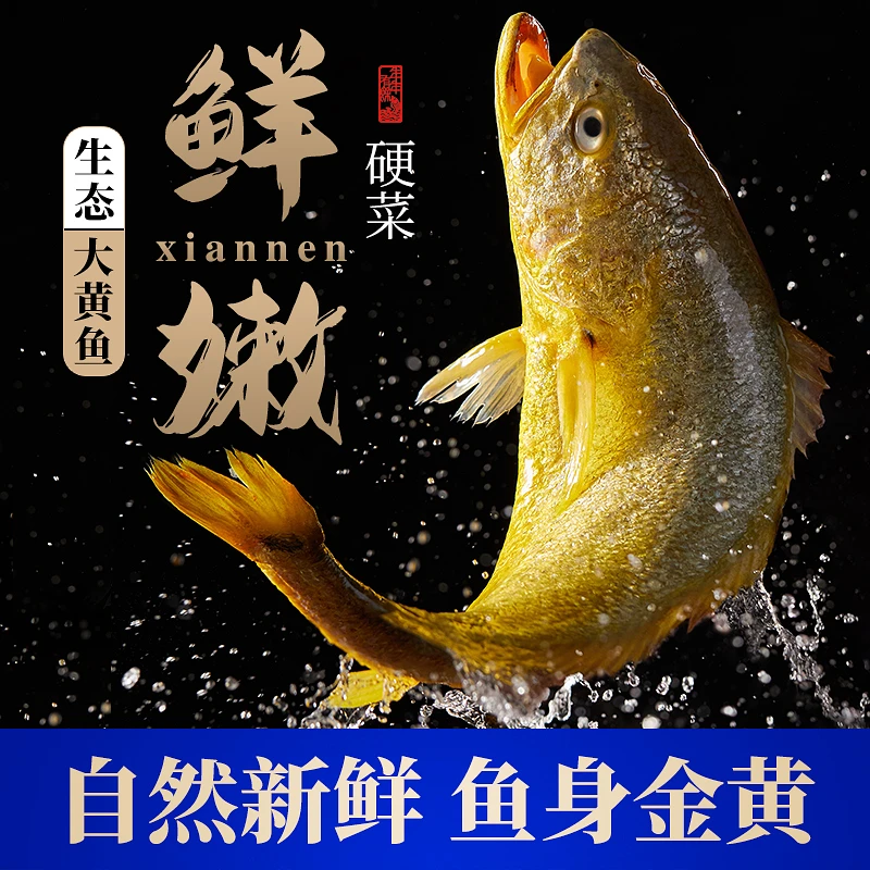 【小许专属】冰鲜大黄鱼大号深海黄鱼9两-1斤/条共4条新鲜