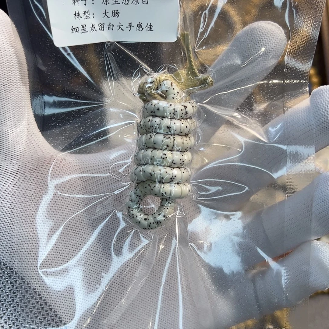 星月菩提吊坠6mm原生态原白