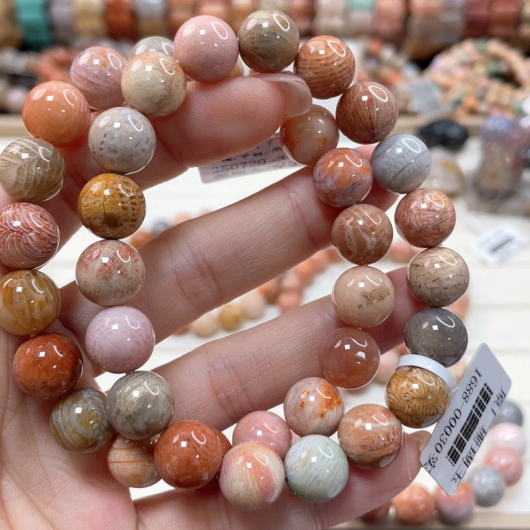 未镶嵌手链硅化珊瑚（珊瑚玉）林**鹿429