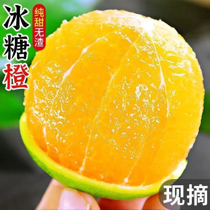云南哀牢山冰糖橙青皮橙子当季新鲜水果清甜多汁薄皮d7