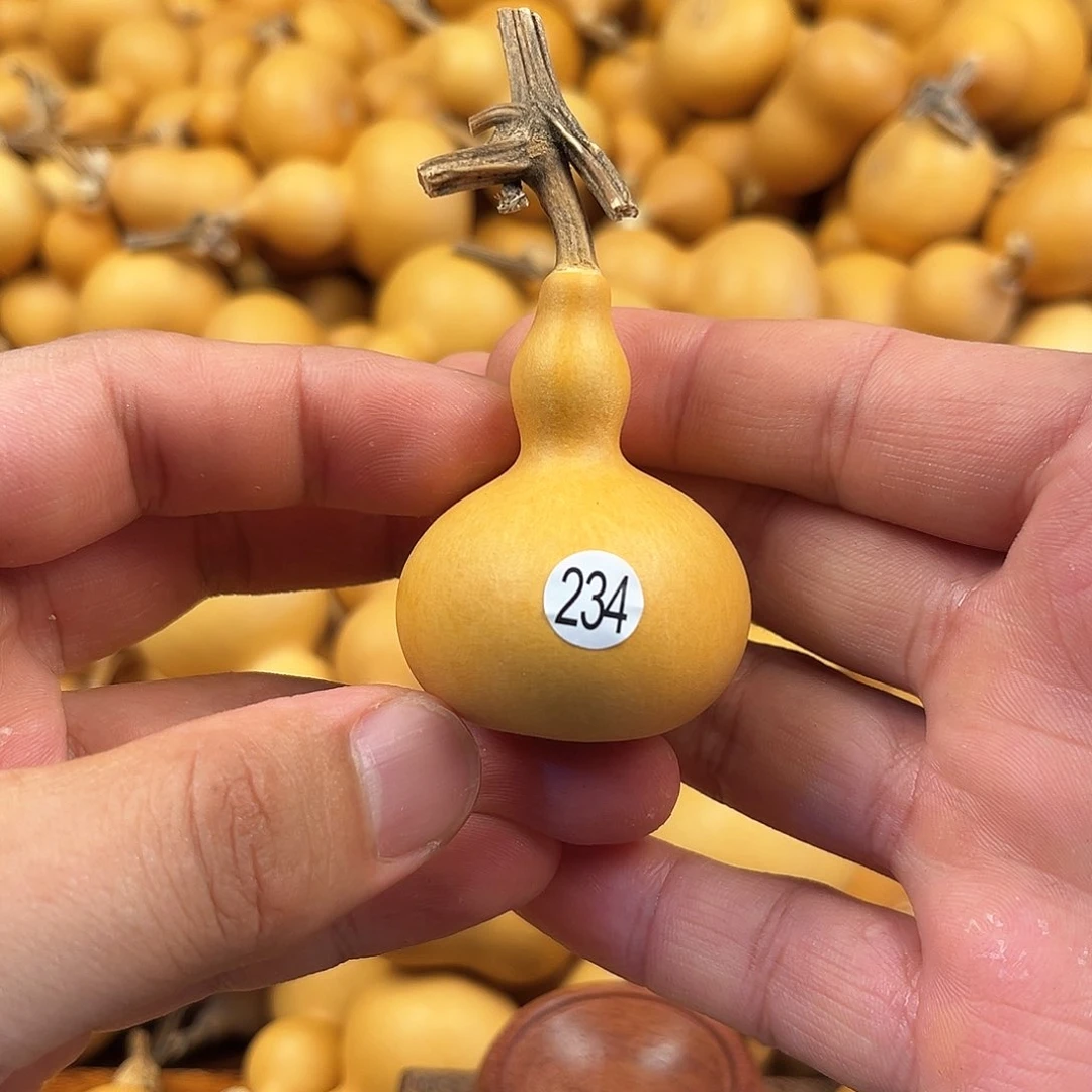 五葫芦葫芦葫芦葫芦234