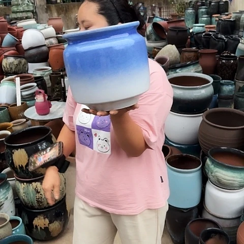 口21高22瑕疵一个盆子。