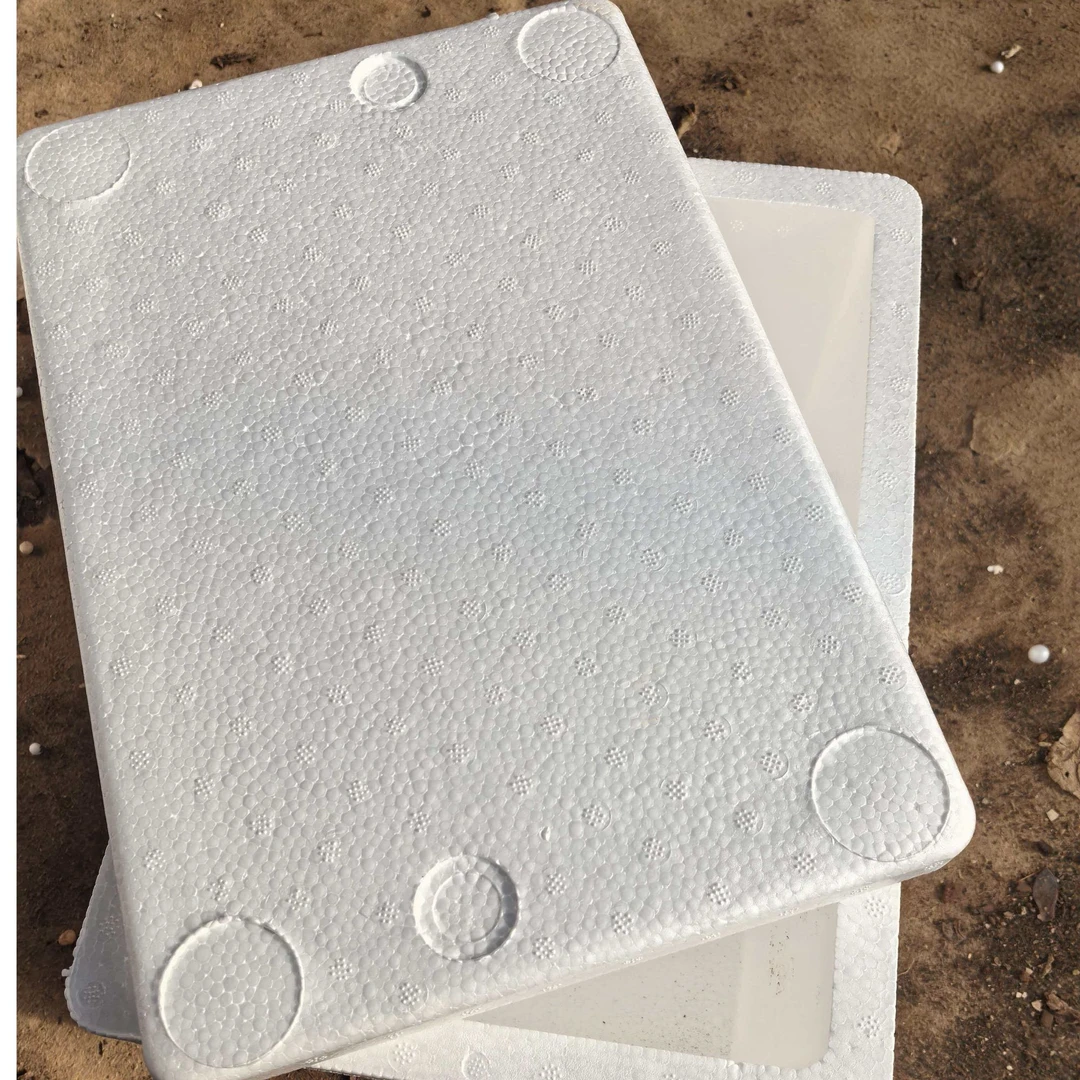 保温箱         心动多肉