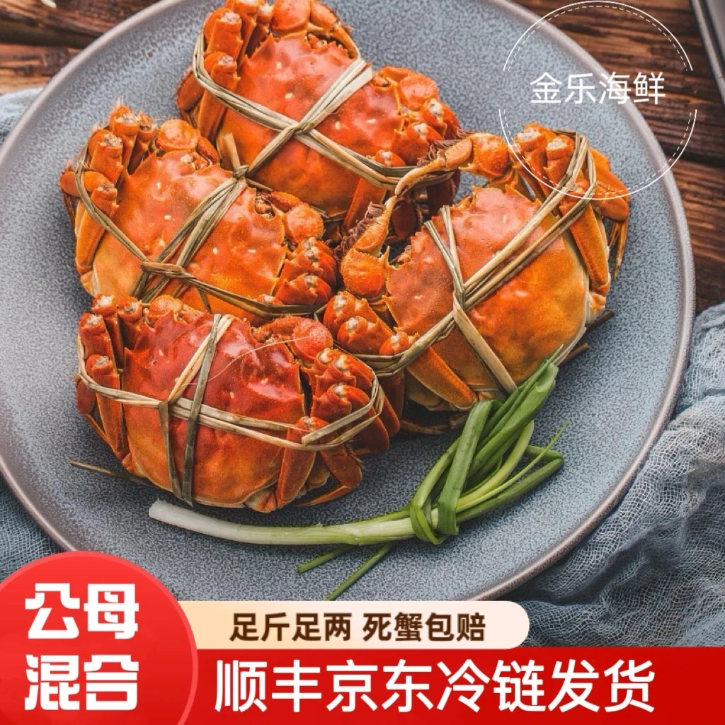 《活蟹》混搭大闸蟹公蟹一只3.0-3.3两母蟹一只2.0-2.3两有掉抓缺腿