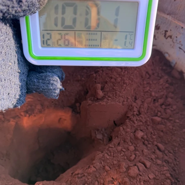 长白山灵芝孢子粉