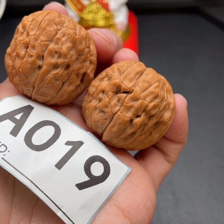 文玩核桃吊坠龟甲文