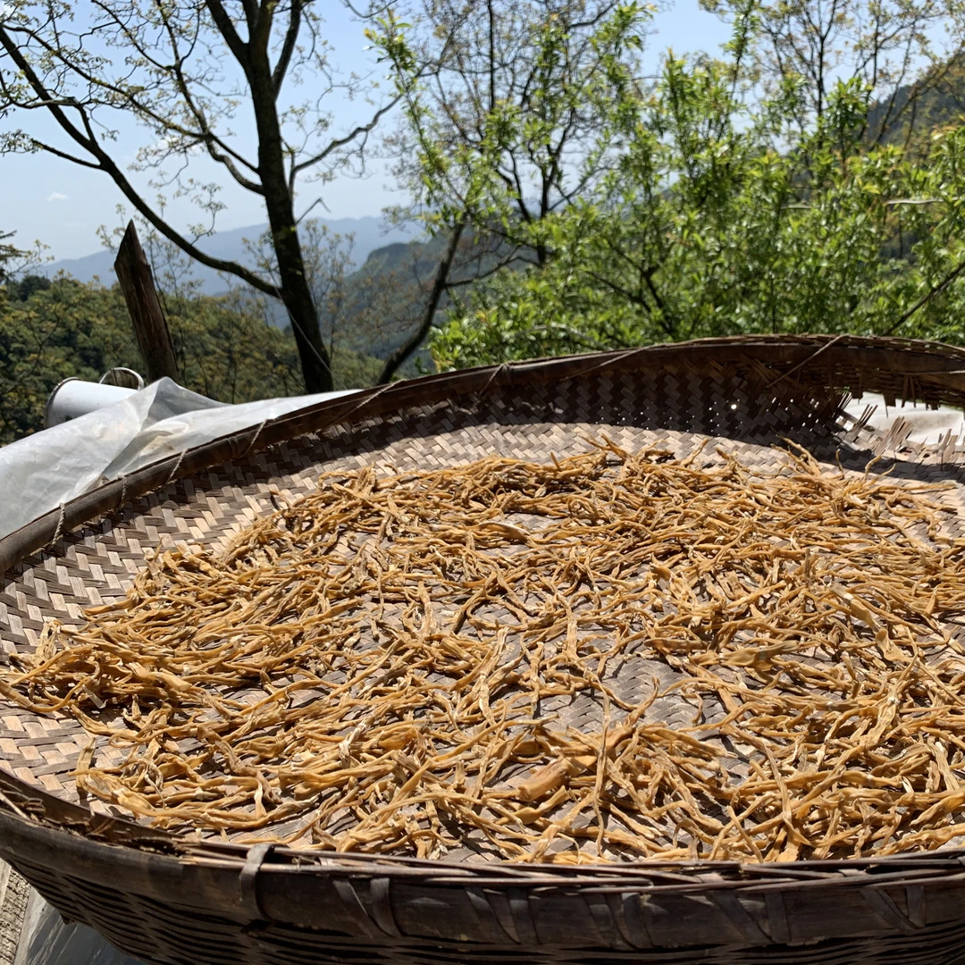 四川高山野生木竹笋自然晒干烧鸡鸭鹅牛肉炖汤