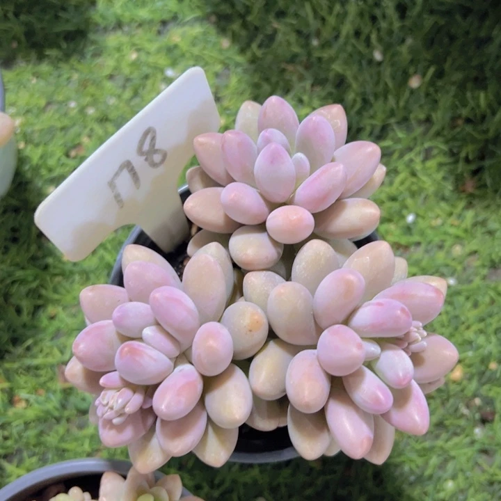 健健康康平平安安
