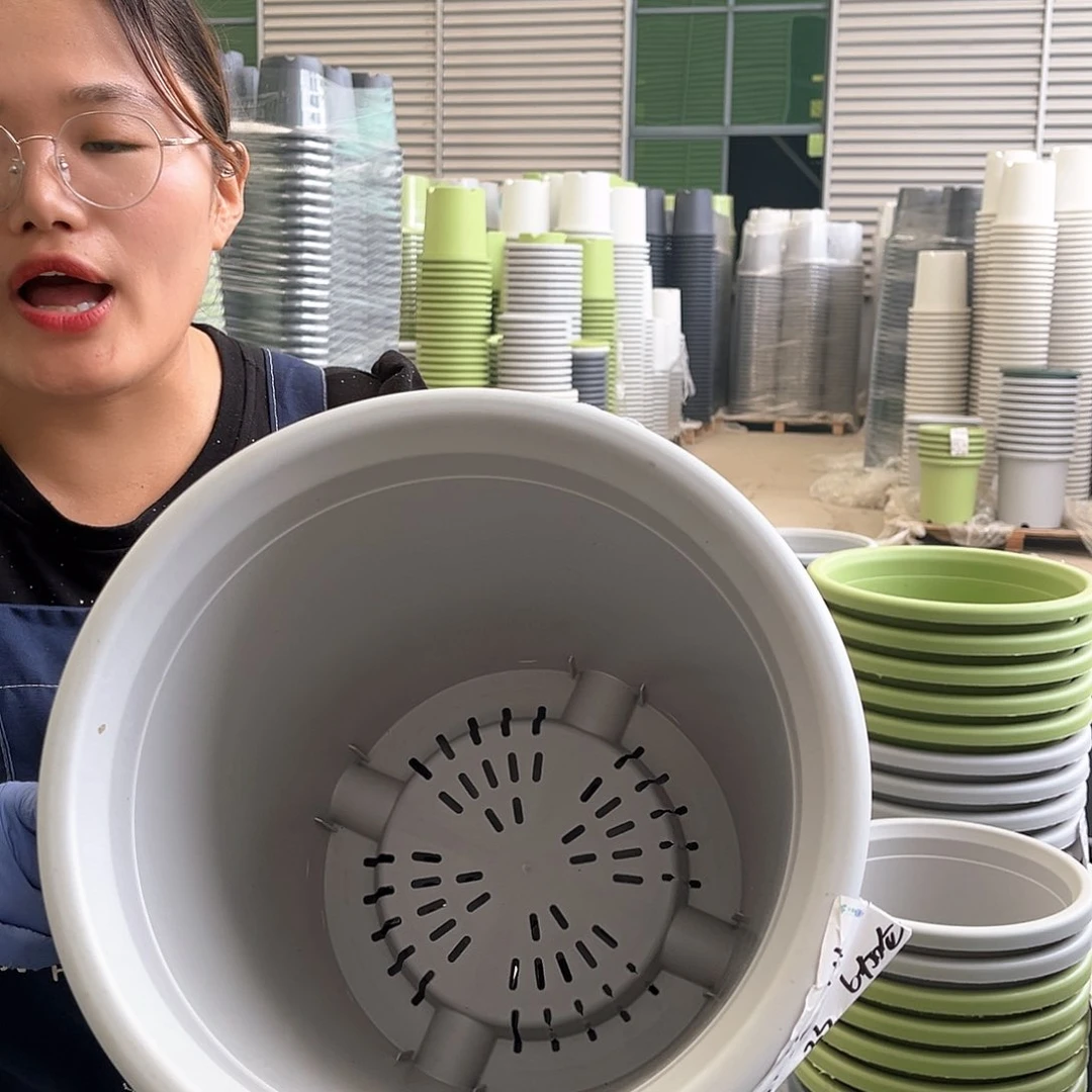 四季盆7#灰白色6个无托