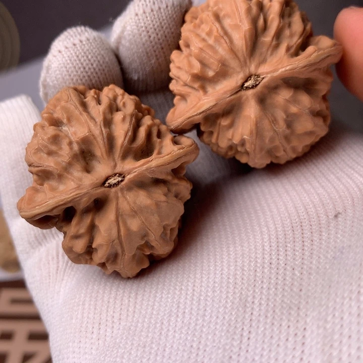饲***员凤凰8个自然乡及部分