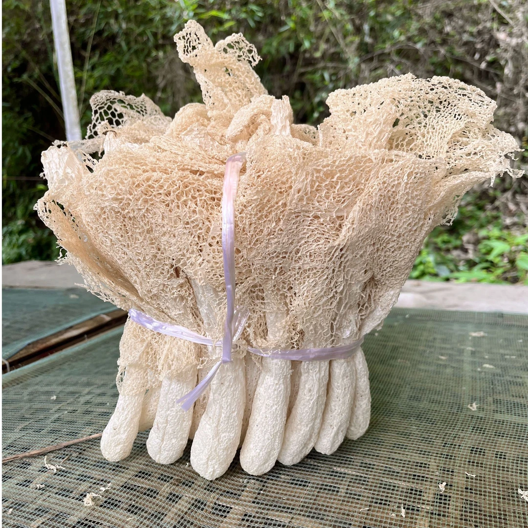 【贵在运费】福建建瓯特产竹荪干货煲汤火锅食材鲜美无硫食用菌菌菇