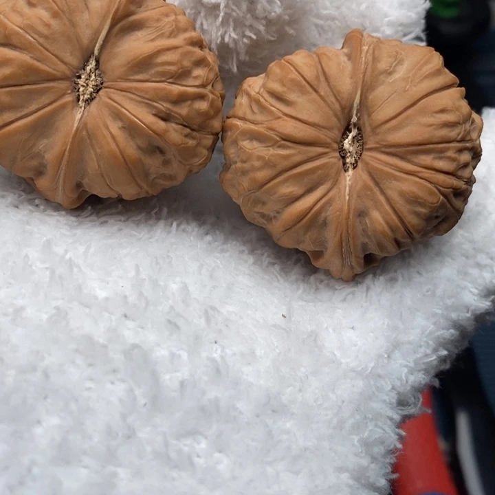 全品42尺寸南瓜墩….