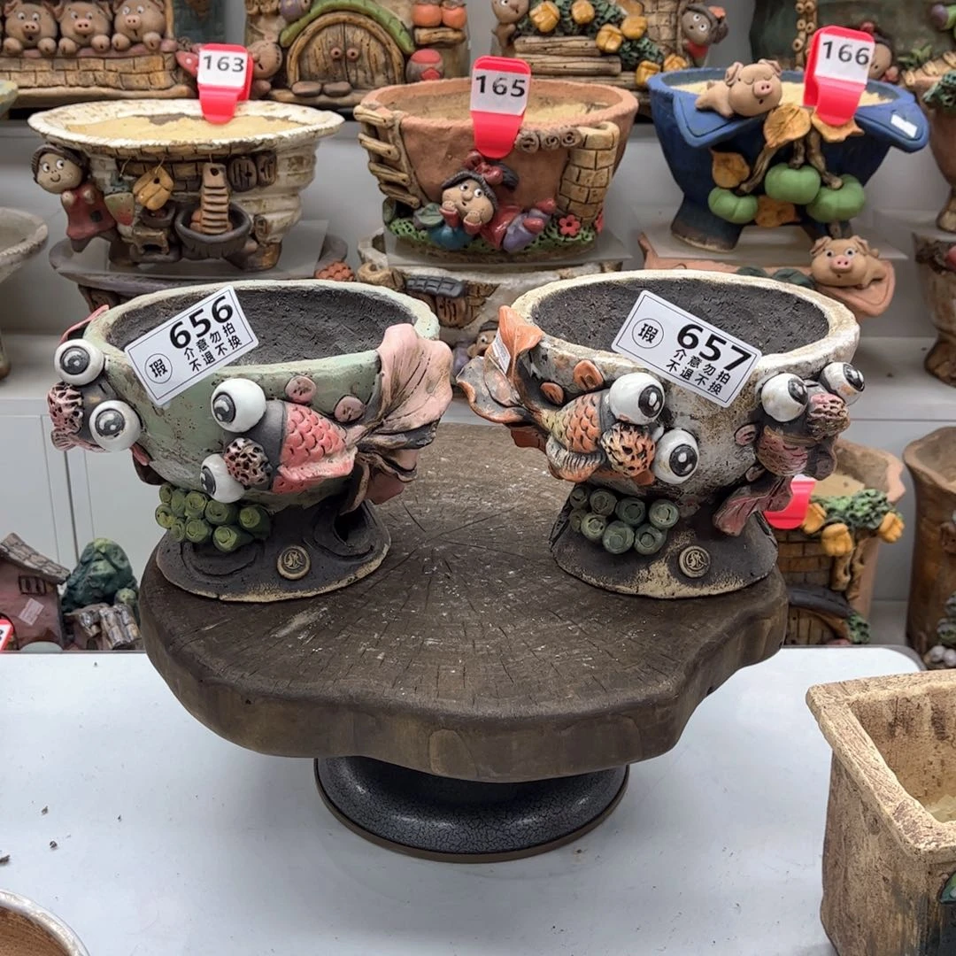 红陶大***。花盆6567瑕疵大福