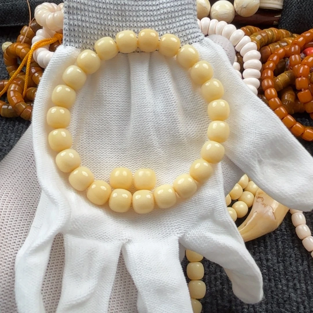 骆驼牙手串/手链骆驼牙