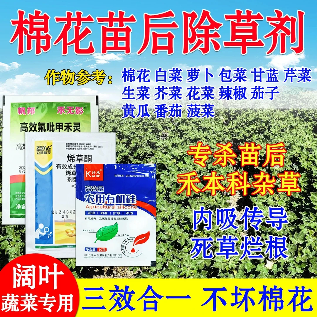 棉花苗后除草剂萝卜包菜甘蓝花菜地除草剂除牛筋草烂根白菜除草剂