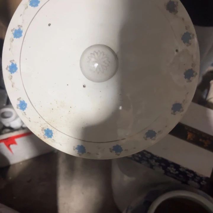 搪瓷?*二哈哈哈哈哈哈哈