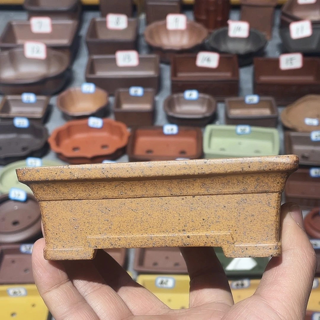 紫砂紫砂小盆10.5*8*3