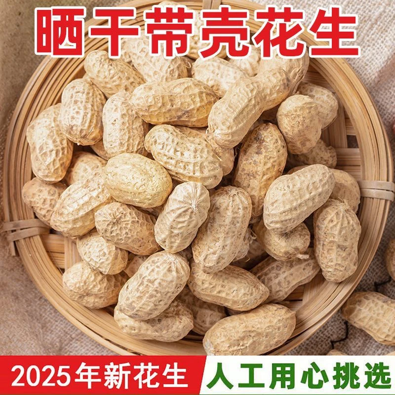 2025年带壳干花生5斤自然晾晒干花生农家直发包邮大颗带壳干花生