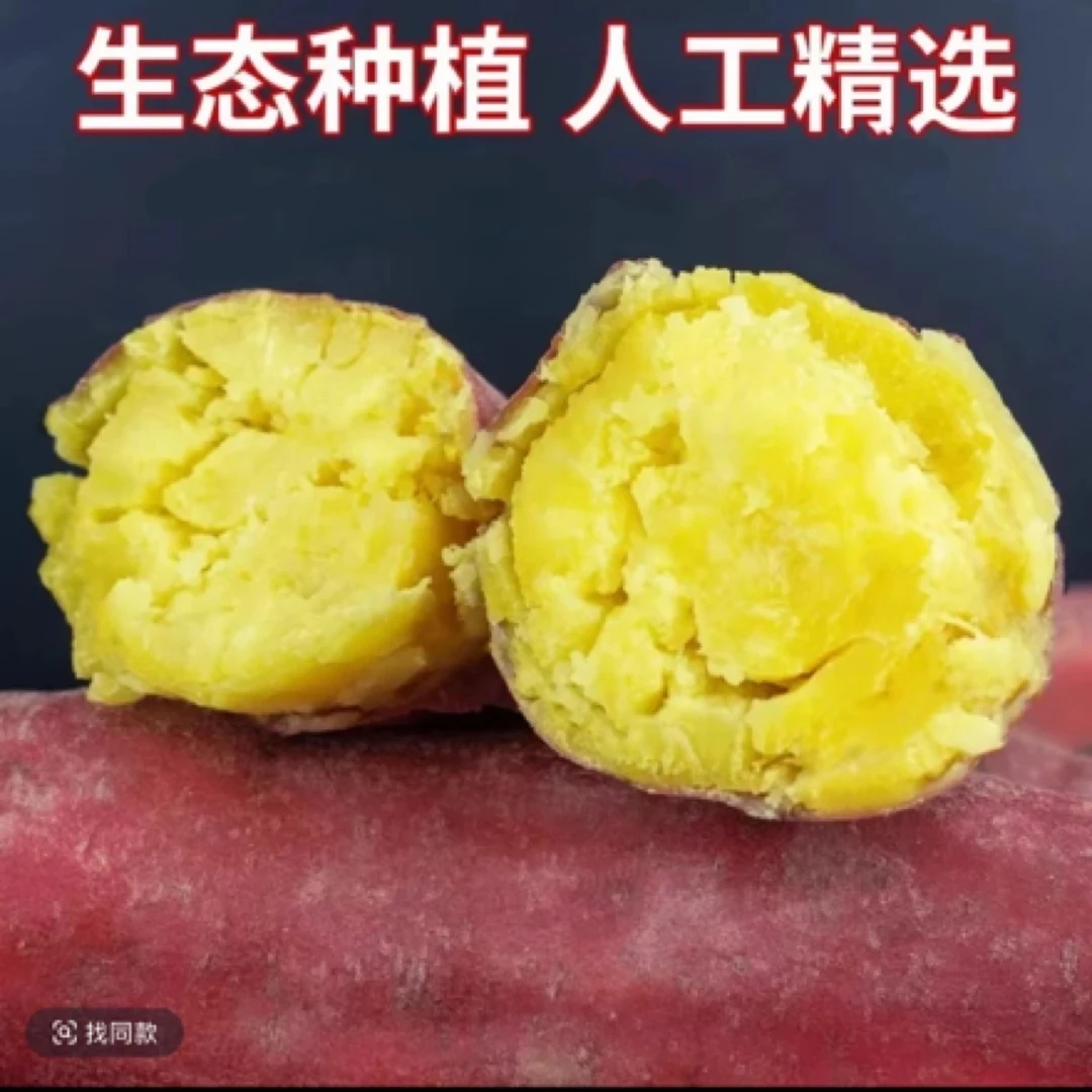 【买3斤送2斤到手5斤】新鲜现挖红薯板荔红薯软糯香甜龙九红薯蜜薯