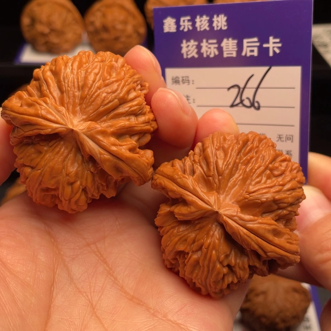 文玩核桃把件白狮子46尺52克