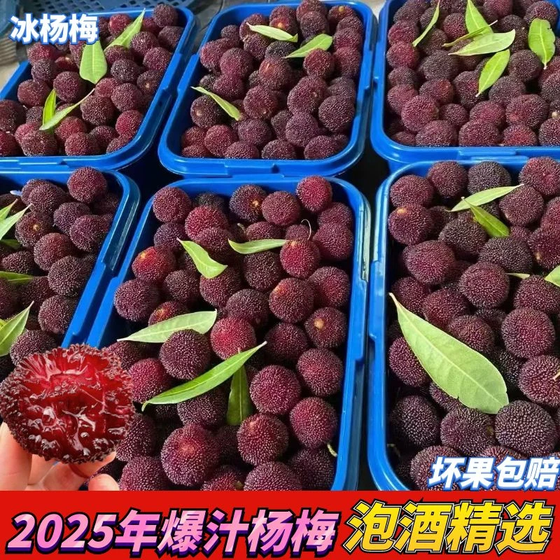新鲜冰杨梅冷冻冰鲜杨梅冰冻非仙居冰冻杨梅泡酒一整箱冷链包邮