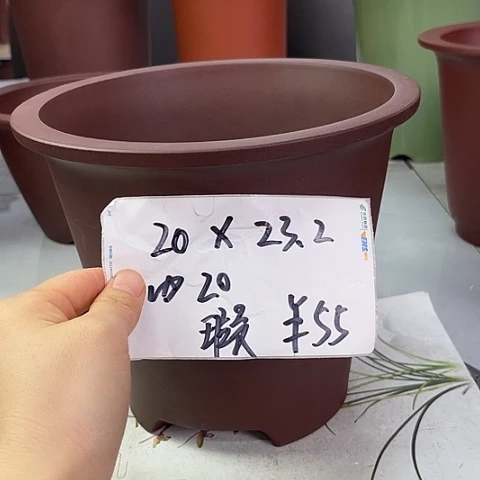 紫砂252855853888558888